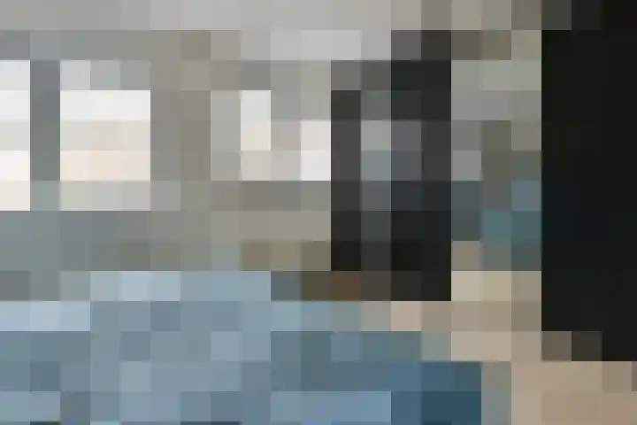 Kwikstaart 17 Mijdrecht thumbnail 16