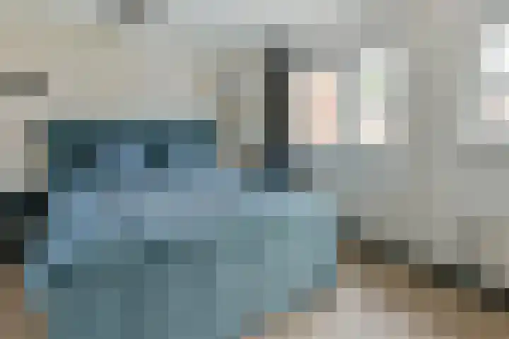 Kwikstaart 17 Mijdrecht thumbnail 17