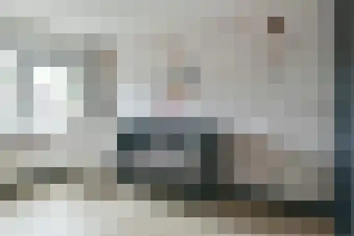 Kwikstaart 17 Mijdrecht thumbnail 18