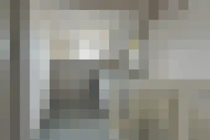Kwikstaart 17 Mijdrecht thumbnail 23