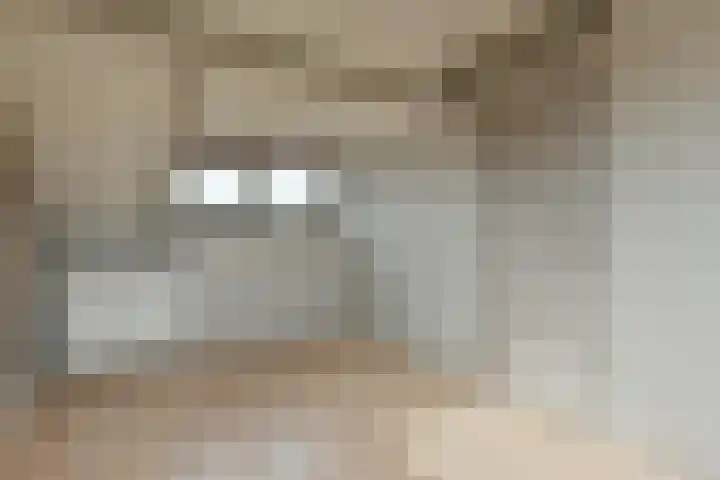 Kwikstaart 17 Mijdrecht thumbnail 24
