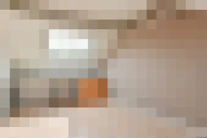Kwikstaart 17 Mijdrecht thumbnail 25