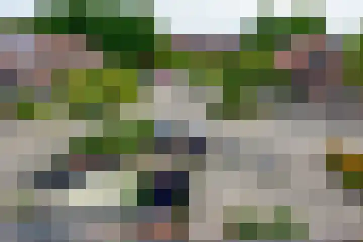 Kwikstaart 17 Mijdrecht thumbnail 26
