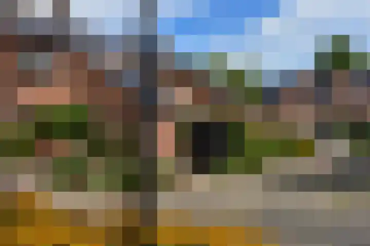 Kwikstaart 17 Mijdrecht thumbnail 27