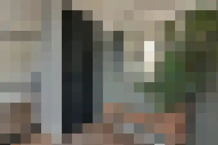 Kwikstaart 17 Mijdrecht thumbnail 4