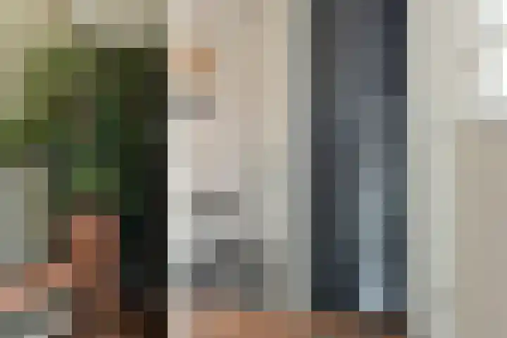Kwikstaart 17 Mijdrecht thumbnail 6