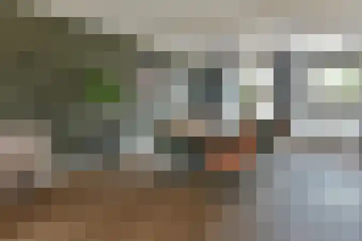 Kwikstaart 17 Mijdrecht thumbnail 7