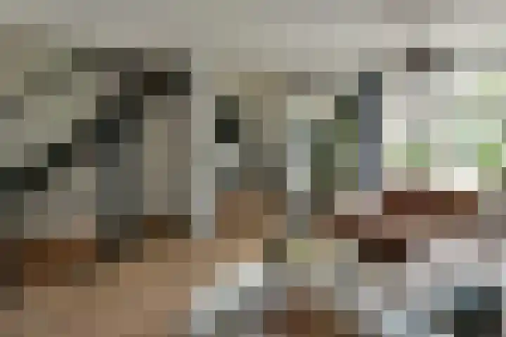 Kwikstaart 17 Mijdrecht thumbnail 8