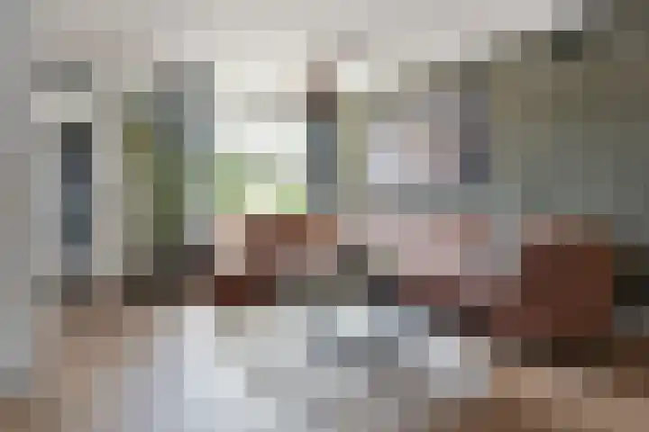 Kwikstaart 17 Mijdrecht thumbnail 9