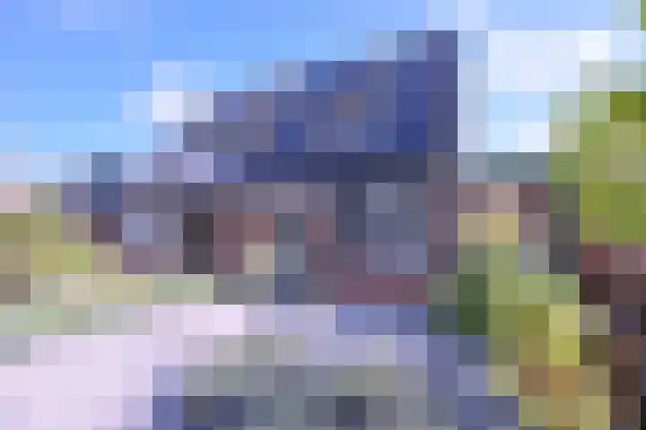 Kwikstaart 2 in Deventer