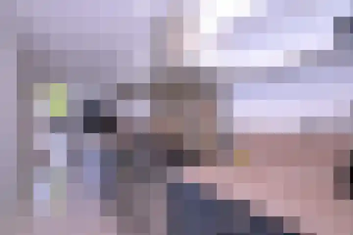 Kwikstaart 2 Deventer thumbnail 11