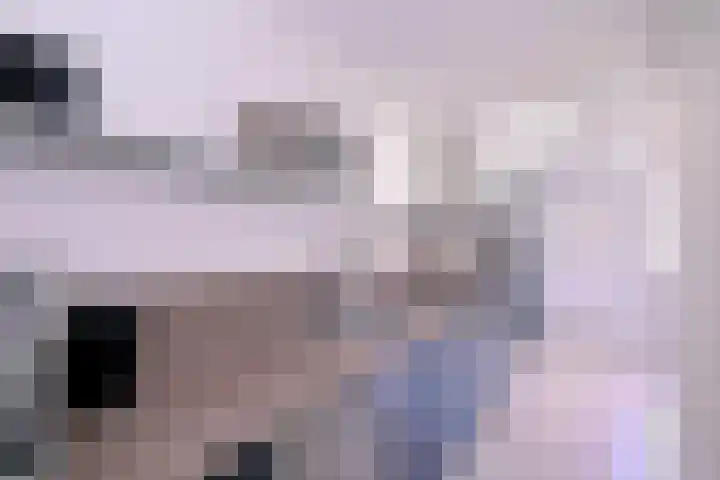 Kwikstaart 2 Deventer thumbnail 12