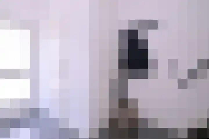 Kwikstaart 2 Deventer thumbnail 13
