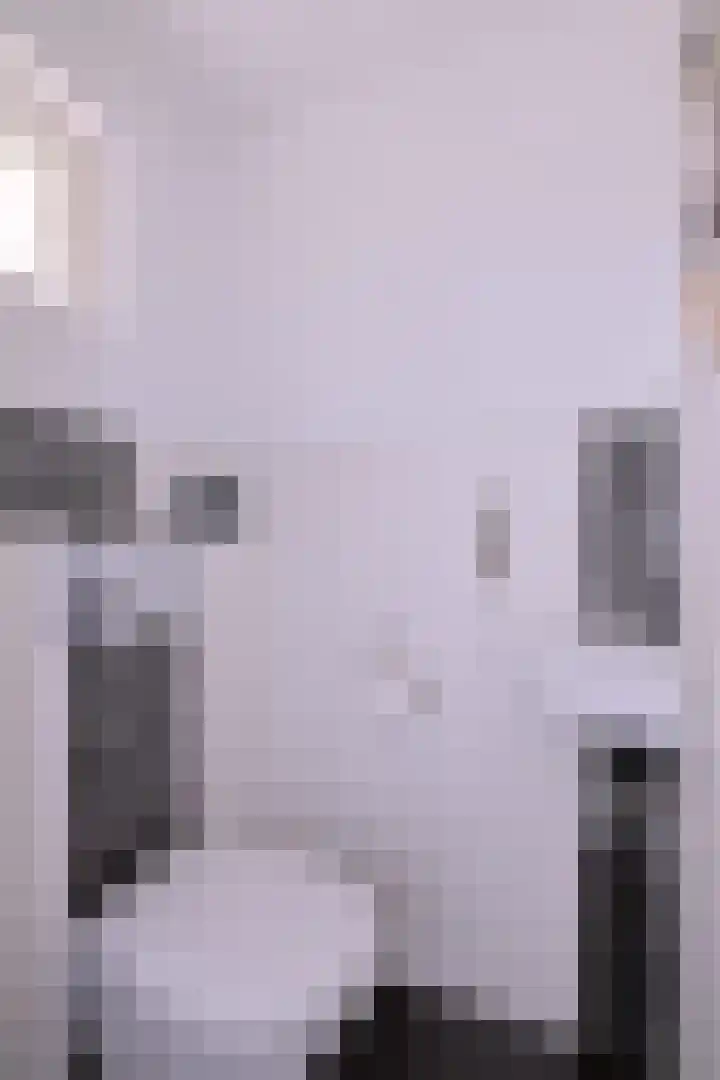 Kwikstaart 2 Deventer thumbnail 14