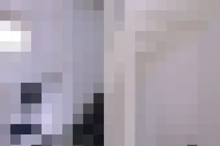 Kwikstaart 2 Deventer thumbnail 16
