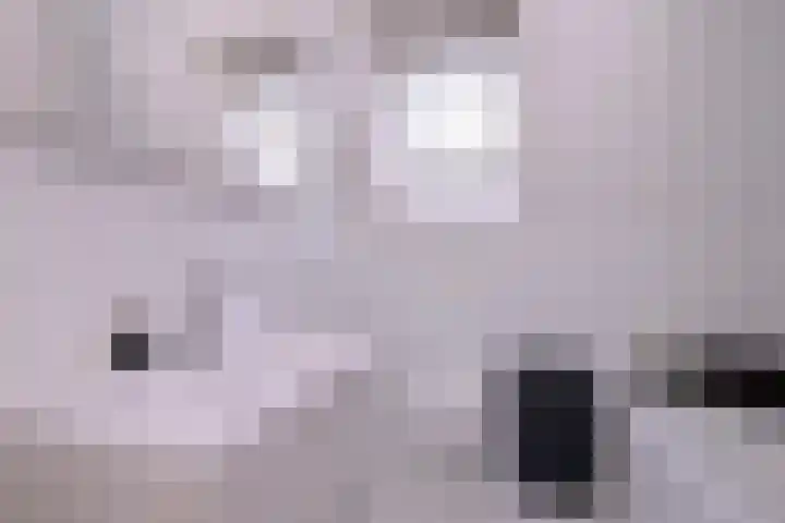 Kwikstaart 2 Deventer thumbnail 17