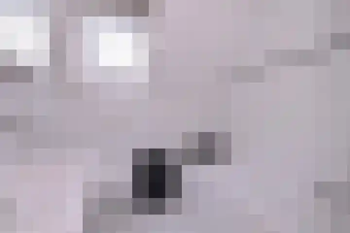 Kwikstaart 2 Deventer thumbnail 18