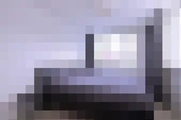 Kwikstaart 2 Deventer thumbnail 19