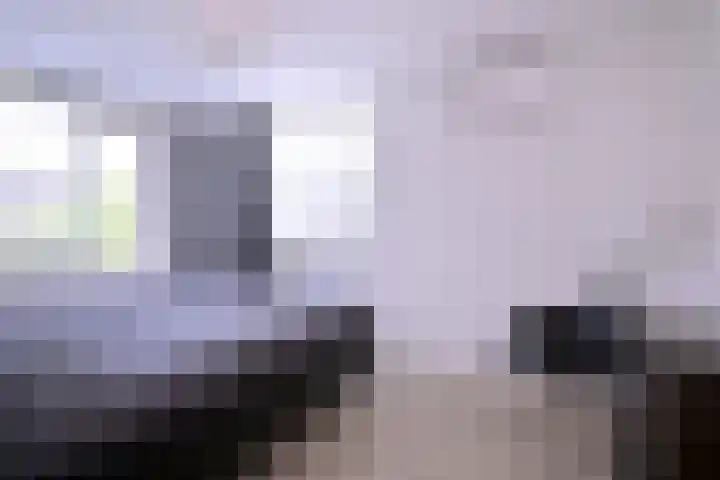 Kwikstaart 2 Deventer thumbnail 20