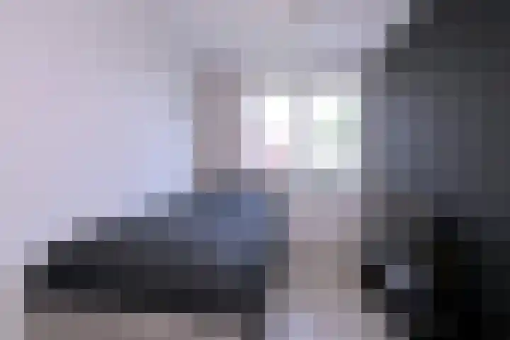Kwikstaart 2 Deventer thumbnail 21