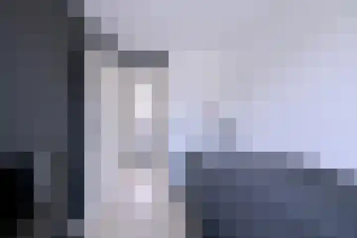 Kwikstaart 2 Deventer thumbnail 22