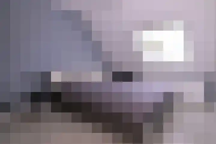 Kwikstaart 2 Deventer thumbnail 23