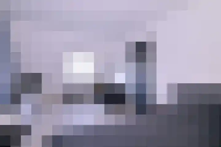 Kwikstaart 2 Deventer thumbnail 27