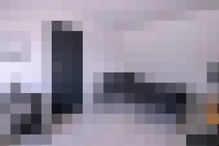 Kwikstaart 2 Deventer thumbnail 28