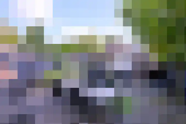 Kwikstaart 2 Deventer thumbnail 29