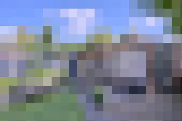Kwikstaart 2 Deventer thumbnail 30