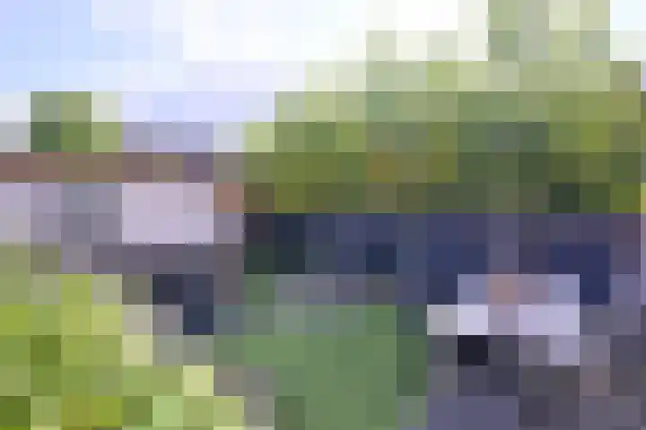 Kwikstaart 2 Deventer thumbnail 31