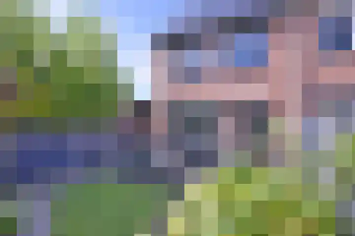Kwikstaart 2 Deventer thumbnail 32