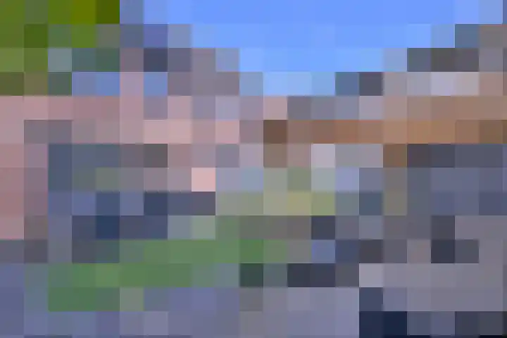 Kwikstaart 2 Deventer thumbnail 33