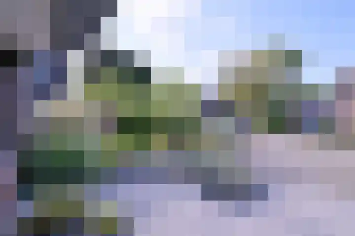 Kwikstaart 2 Deventer thumbnail 34