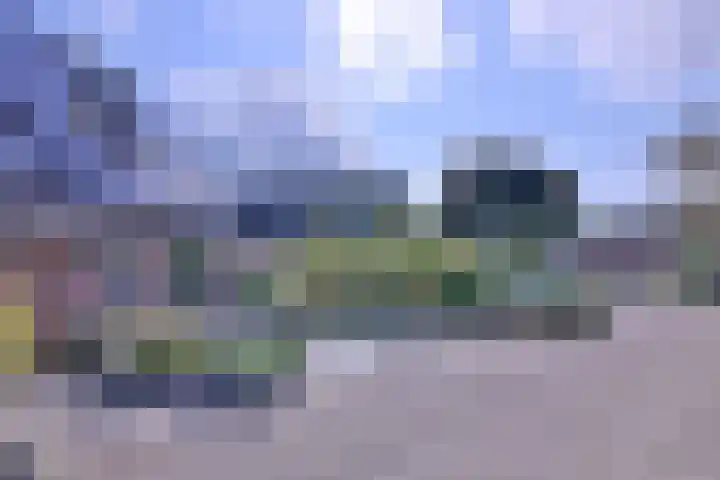 Kwikstaart 2 Deventer thumbnail 35
