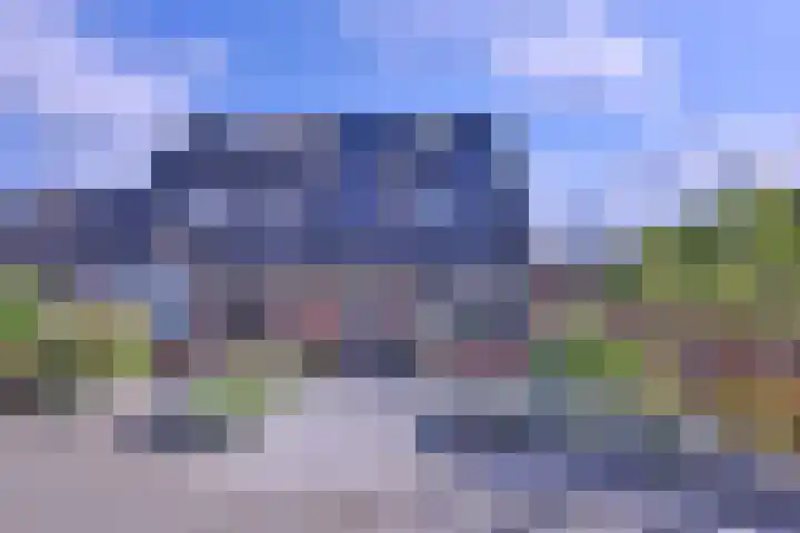 Kwikstaart 2 Deventer thumbnail 36