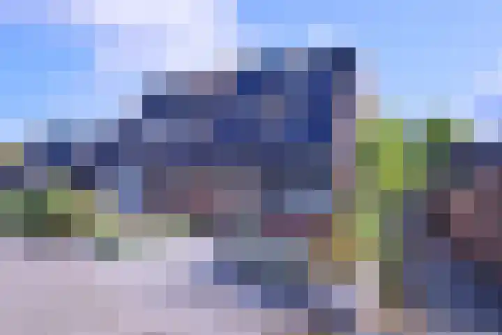 Kwikstaart 2 Deventer thumbnail 37