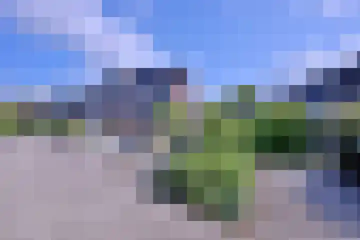 Kwikstaart 2 Deventer thumbnail 38