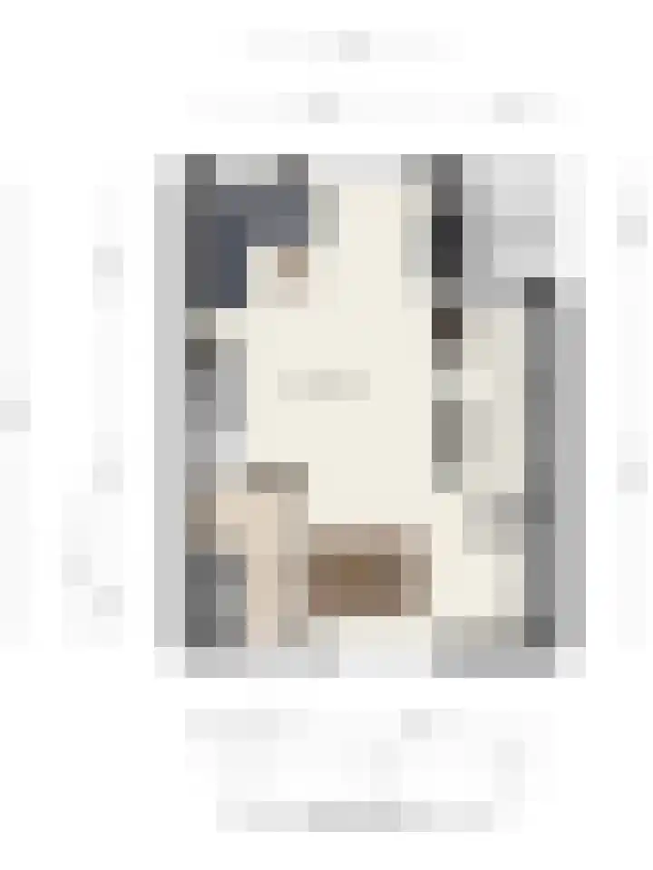 Kwikstaart 2 Deventer thumbnail 41