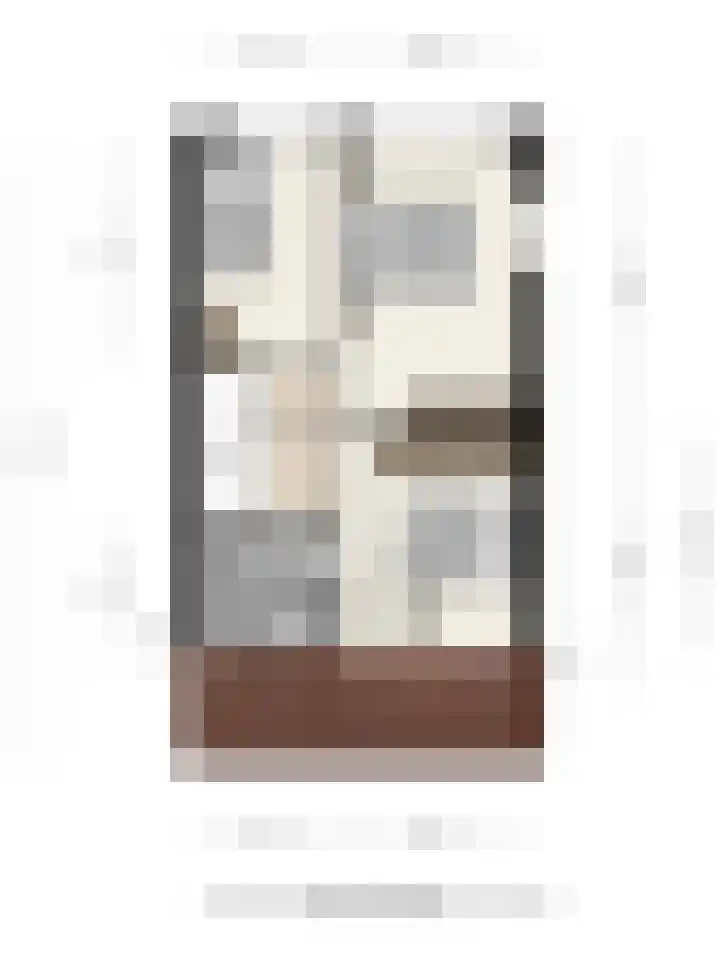 Kwikstaart 2 Deventer thumbnail 42