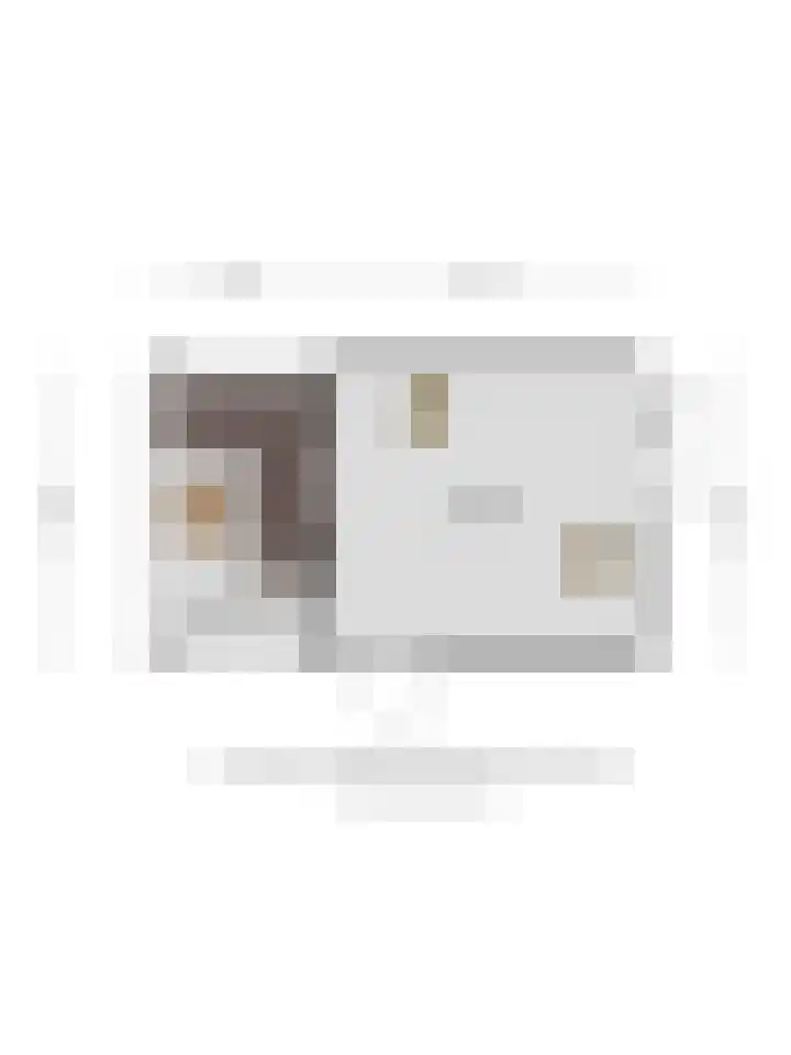 Kwikstaart 2 Deventer thumbnail 44