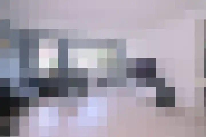 Kwikstaart 2 Deventer thumbnail 5