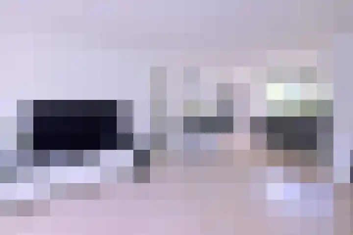 Kwikstaart 2 Deventer thumbnail 6