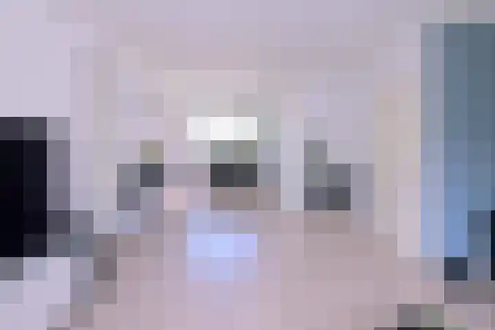Kwikstaart 2 Deventer thumbnail 7