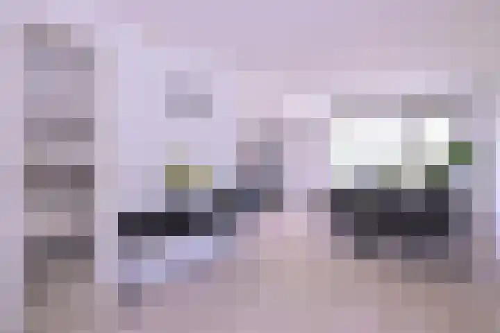 Kwikstaart 2 Deventer thumbnail 8