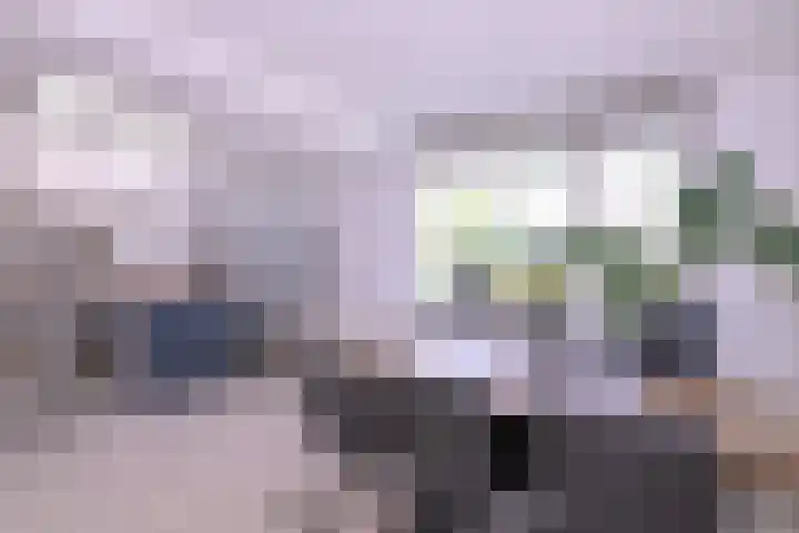 Kwikstaart 2 Deventer thumbnail 9