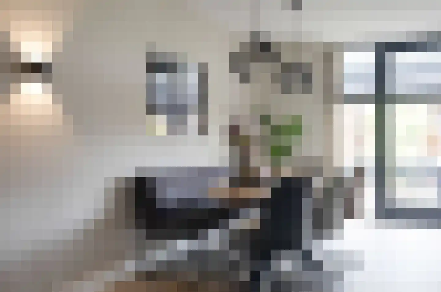 Kwikstaart 2 Kaatsheuvel thumbnail 11