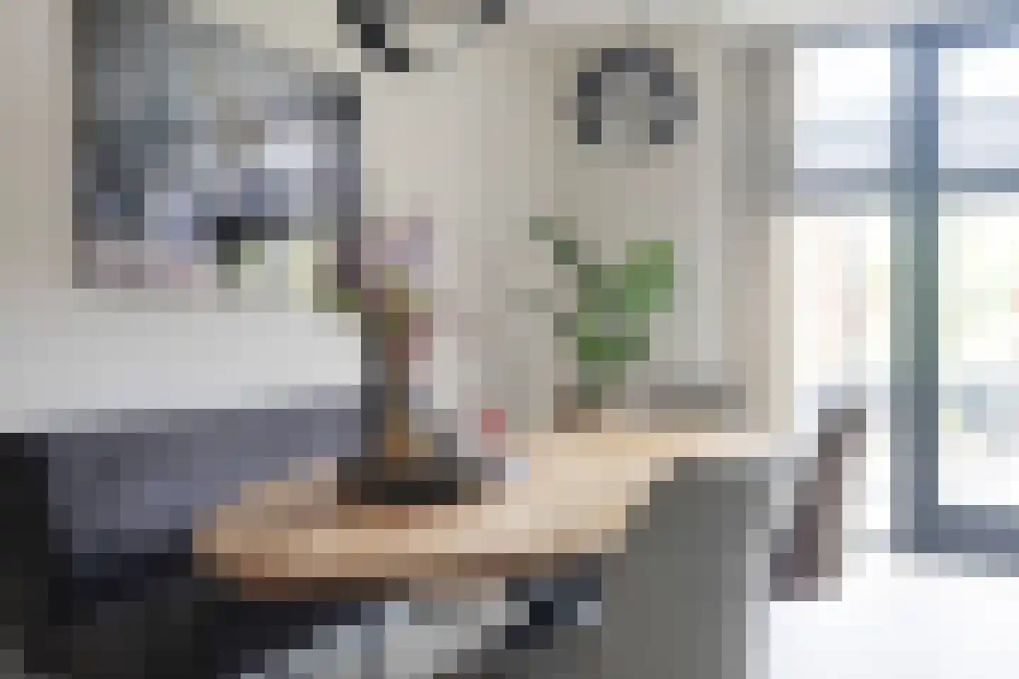 Kwikstaart 2 Kaatsheuvel thumbnail 12
