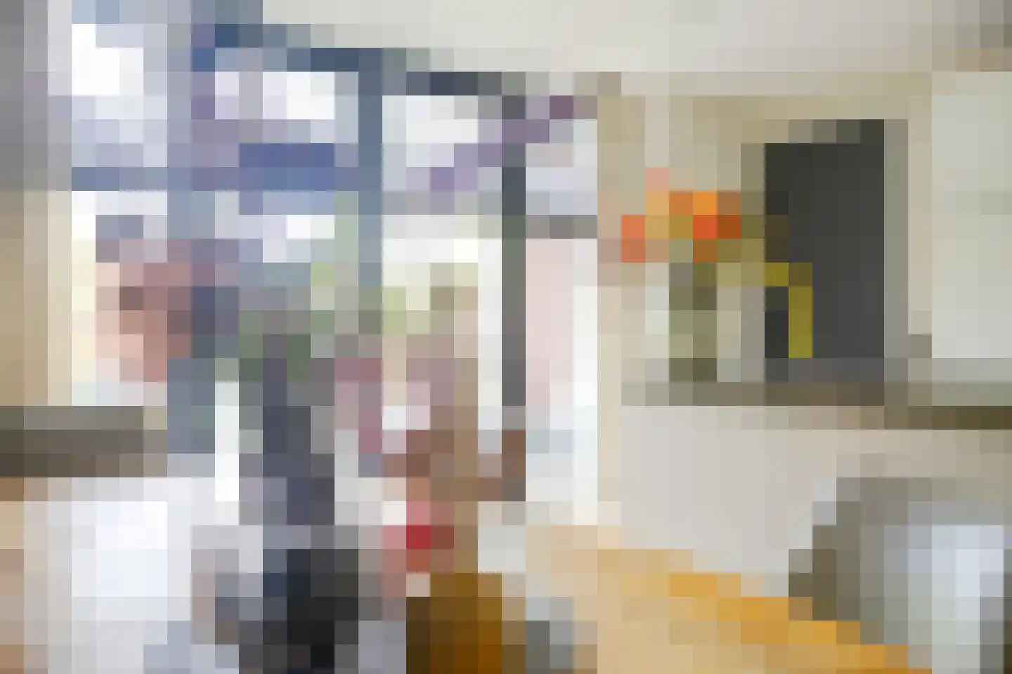 Kwikstaart 2 Kaatsheuvel thumbnail 13