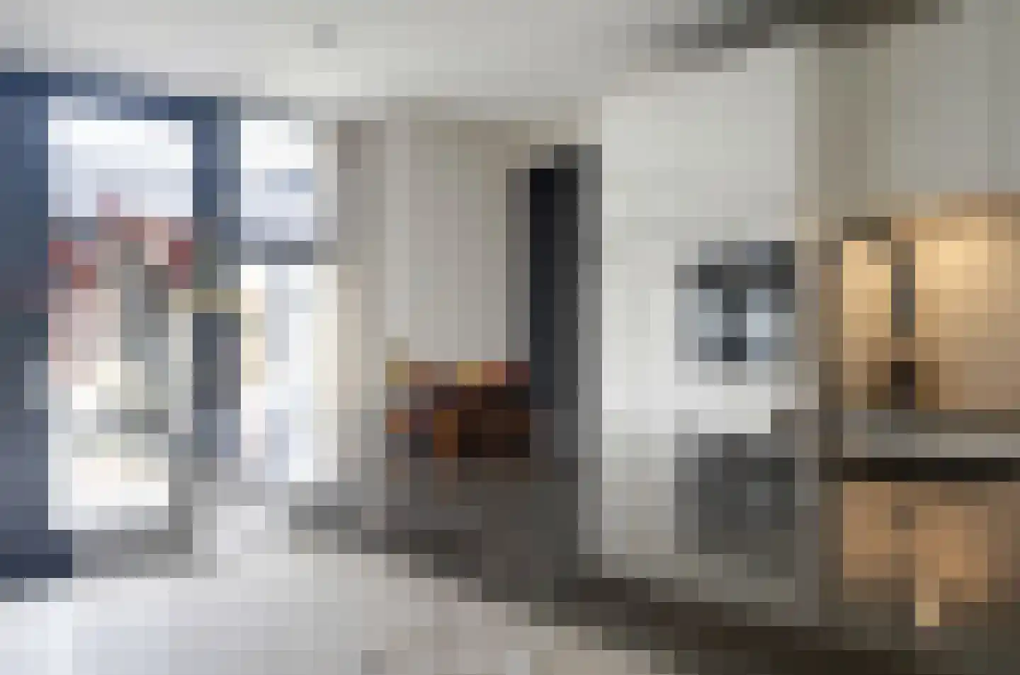 Kwikstaart 2 Kaatsheuvel thumbnail 15